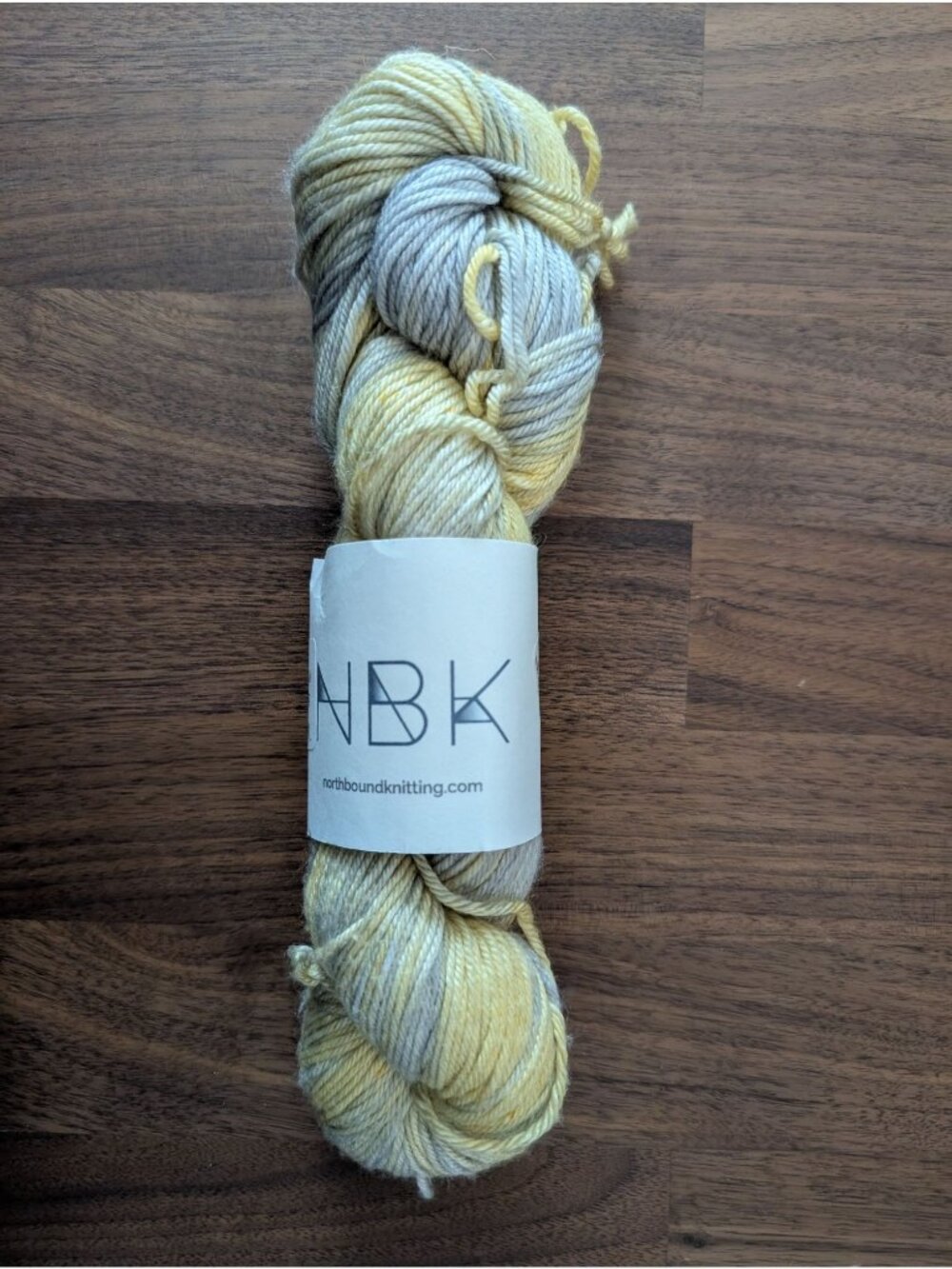 NBK Northbound Knitting Merino Silk DK Hank in Medallion